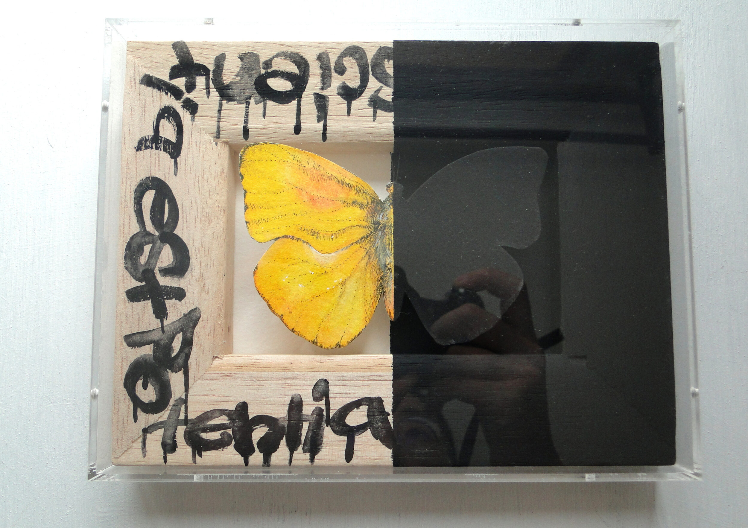 立体的な黄色い蝶の絵画 アート 原画 アクリルフレーム 水彩画 昆虫画 ペン画