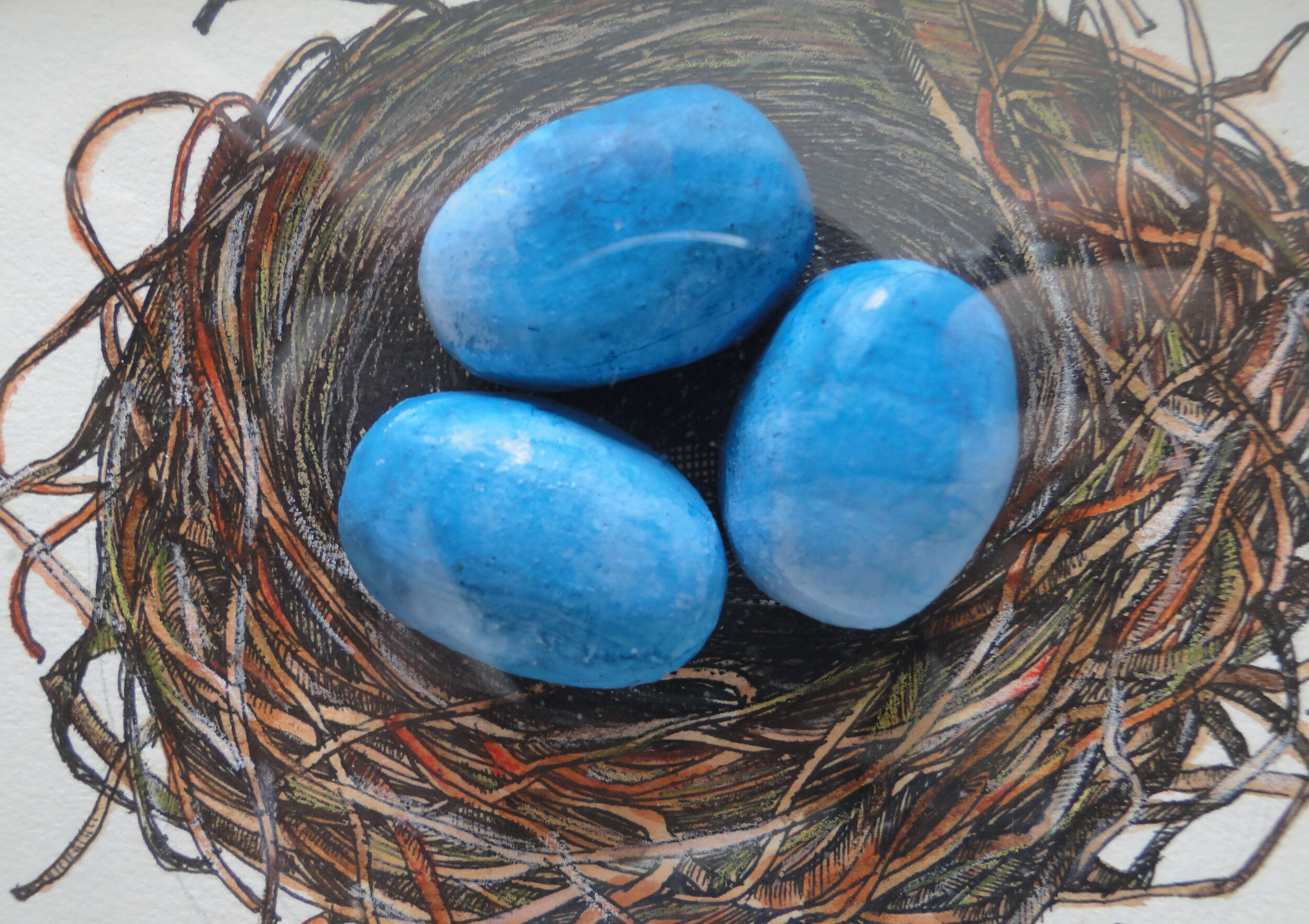 青い卵と鳥の巣の絵画 アート 原画 額装 水彩画 ペン画 | Libli-Art